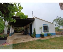 Casa-Chalet en Venta en Torre De La Sal Castellón