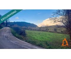 FINCA a solo 10 minutos de Villaviciosa