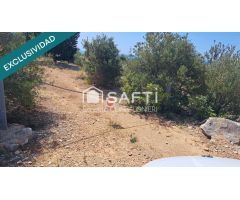 Finca rustica 14000 mts ,con vistas al mar en Alcanar