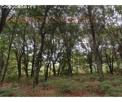 Parcela en Venta en Goian Lugo