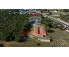 RESIDENCIA CANINA, VIVIENDA Y NEGOCIO EN VENTA
