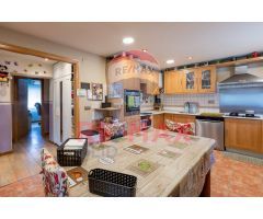 RESIDENCIA CANINA, VIVIENDA Y NEGOCIO EN VENTA