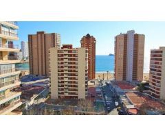 Piso en Alquiler en Benidorm, Alicante