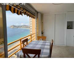 se alquila un piso en Benidorm,  1a linea de playa