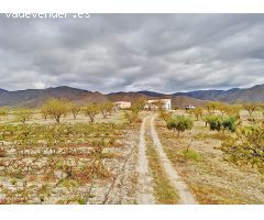 Oportunidad Única: Finca con Terreno Extenso y Cortijo en Andalucía