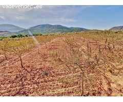 Retiro en la Naturaleza: Terreno Recreativo con Vistas Panorámicas en Laujar de Andarx