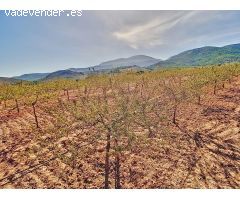 Retiro en la Naturaleza: Terreno Recreativo con Vistas Panorámicas en Laujar de Andarx
