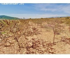 Retiro en la Naturaleza: Terreno Recreativo con Vistas Panorámicas en Laujar