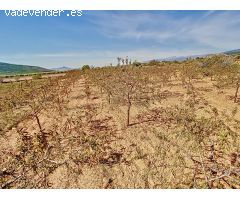 Retiro en la Naturaleza: Terreno Recreativo con Vistas Panorámicas en Laujar