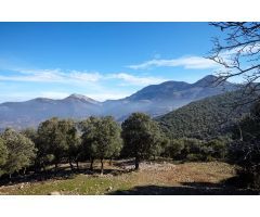 Magnífica propiedad en venta: Un oasis de vida salvaje en Sierra Mágina (Jaén, Andalucía)