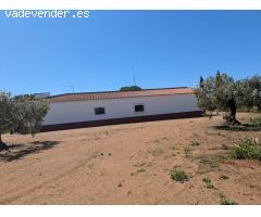 Exclusiva Finca en Almendralejo