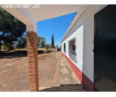 Exclusiva Finca en Almendralejo