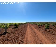 Exclusiva Finca en Almendralejo