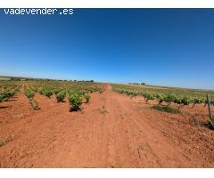 Exclusiva Finca en Almendralejo