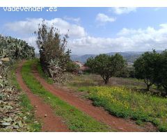 Terreno con cueva