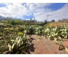 Solar urbano en Teror