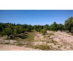 Terreno rural en Venta en Sant Carles de la Ràpita, Tarragona