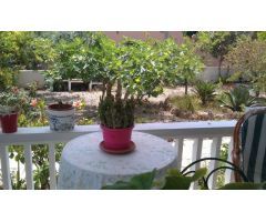 Chalet en Venta en Alcanar-Platja, Tarragona
