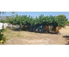 Chalet en Venta en Alcanar-Platja, Tarragona