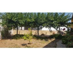 Chalet en Venta en Alcanar-Platja, Tarragona
