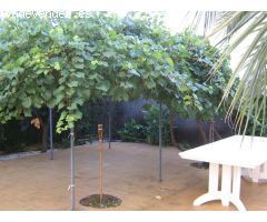 Chalet en Venta en casas de alcanar, Tarragona