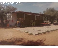 Terreno rural en Venta en Freginals, Tarragona