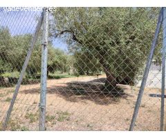Terreno rural en Venta en Freginals, Tarragona