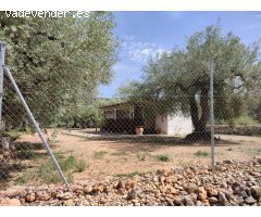 Terreno rural en Venta en Freginals, Tarragona