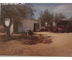 Terreno rural en Venta en Freginals, Tarragona