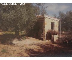 Terreno rural en Venta en Freginals, Tarragona