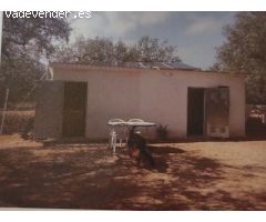 Terreno rural en Venta en Freginals, Tarragona