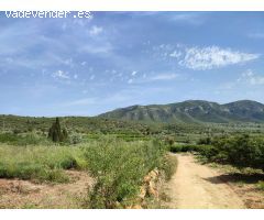 Terreno rural en Venta en Freginals, Tarragona