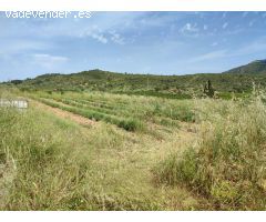 Terreno rural en Venta en Freginals, Tarragona