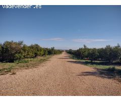 Terreno rural en Venta en VINALLOP, Tarragona