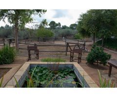 Terreno rural en Venta en Masdenverge, Tarragona