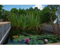 Terreno rural en Venta en Masdenverge, Tarragona