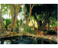 Casa en Venta en Alcanar, Tarragona