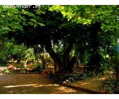 Casa en Venta en Alcanar, Tarragona