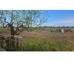 Terreno rural en Venta en Vinaròs, Castellón