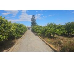 Terreno rural en Venta en Vinaròs, Castellón