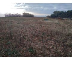 Terreno rural en Venta en casas de alcanar, Tarragona