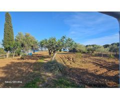 Terreno rural en Venta en casas de alcanar, Tarragona