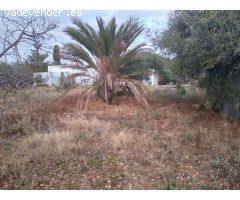 Terreno rural en Venta en casas de alcanar, Tarragona