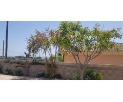 Chalet en Alquiler en Alcanar, Tarragona