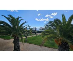 Piso en Alquiler en Alcanar-Platja, Tarragona