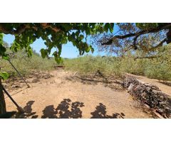 Chalet en Venta en Alcanar-Platja, Tarragona