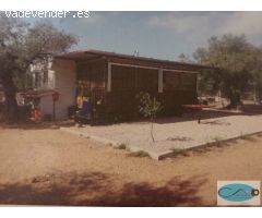 Terreno rural en Venta en Freginals, Tarragona