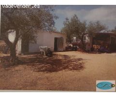 Terreno rural en Venta en Freginals, Tarragona