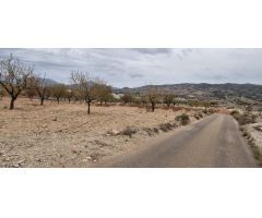 TERRENO 8500 M2  EN ABANILLA PARA COSNTRUIR