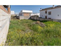 Terreno urbano en Vista Alegre, Peligros